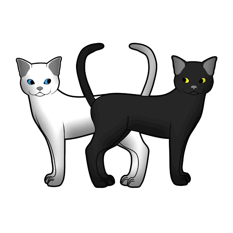 Chat blanc et noir