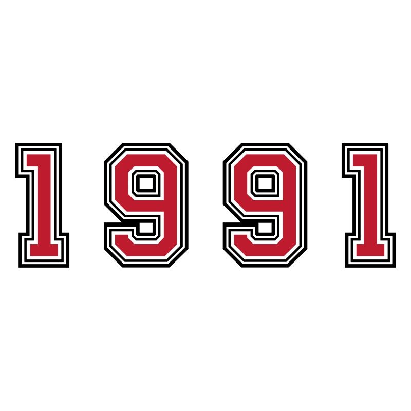 1991 year number