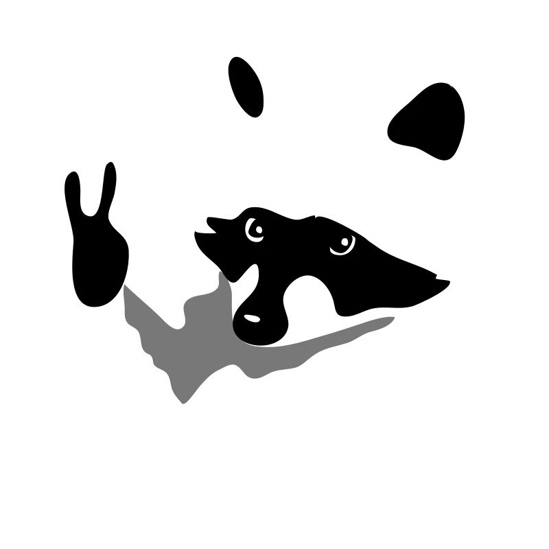 Waschbär-Peace