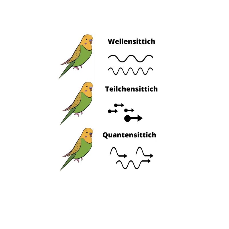 Wellensittich Quanten Teilchen - Nerd Wissenschaft
