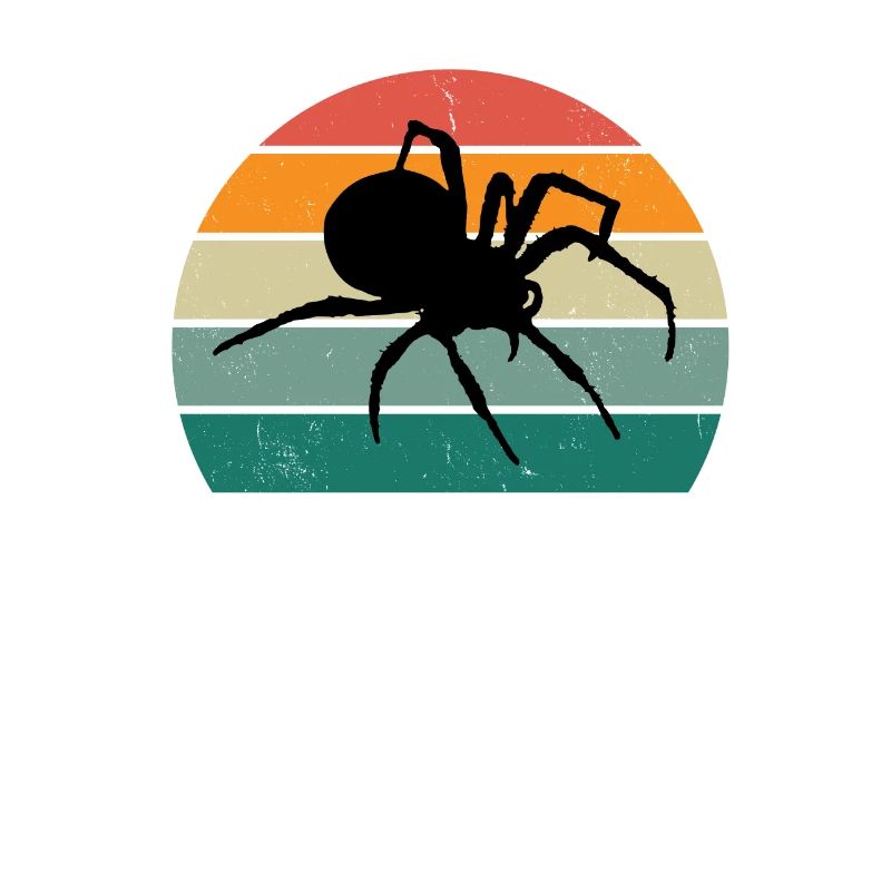 Spiders Spider web web arachnid legs 8 spider