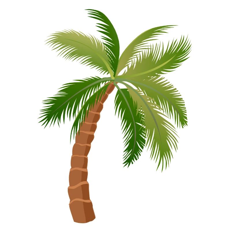palm tree palm palms 1