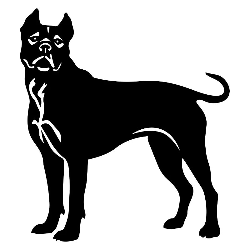 Pit Dog Terrier