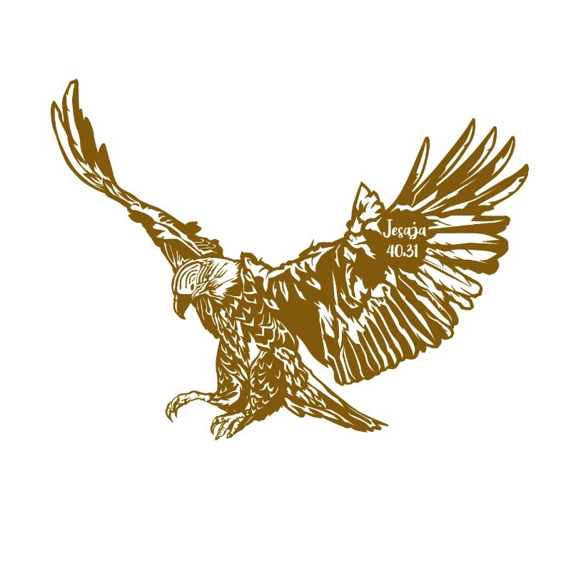 Isaiah 40.31 eagle
