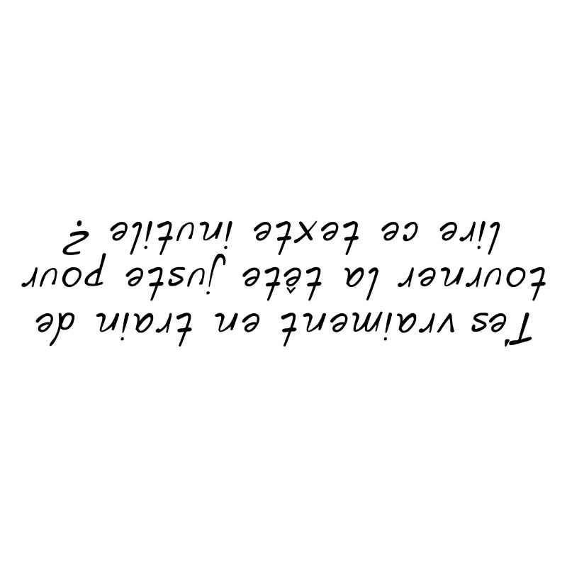Texte à l'envers