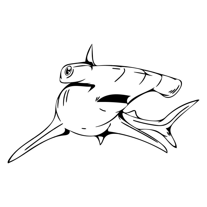 Dangerously elegant hammerhead shark