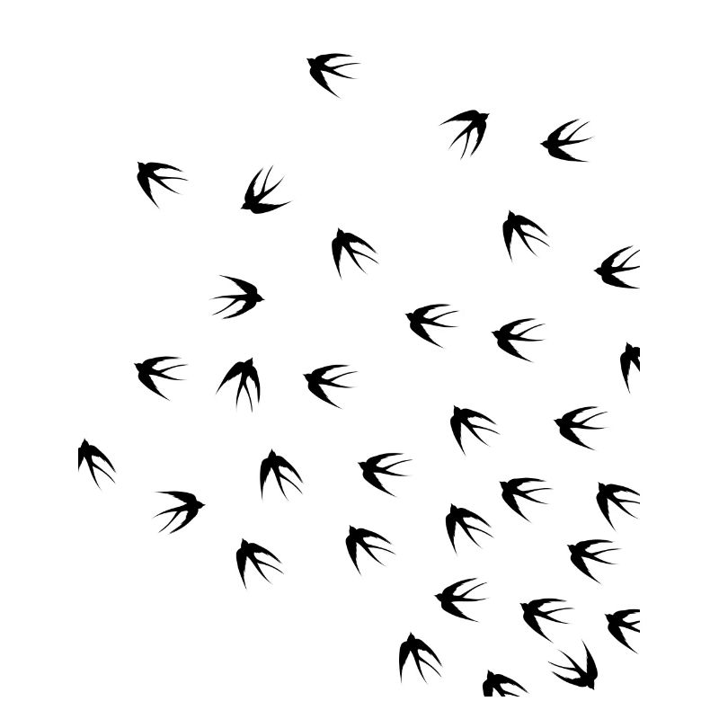 Swallows spring feelings