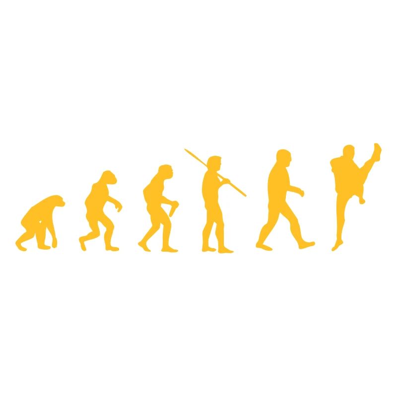 Arts Martiaux Evolution