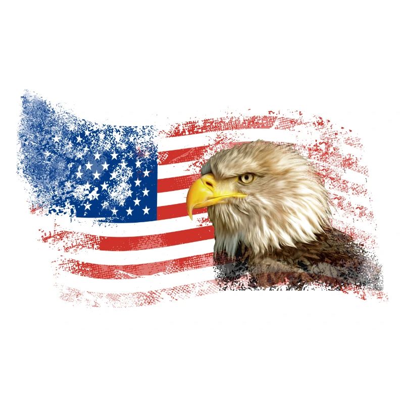 Drapeau Eagle Drapeau USA Bald Eagle Vintage