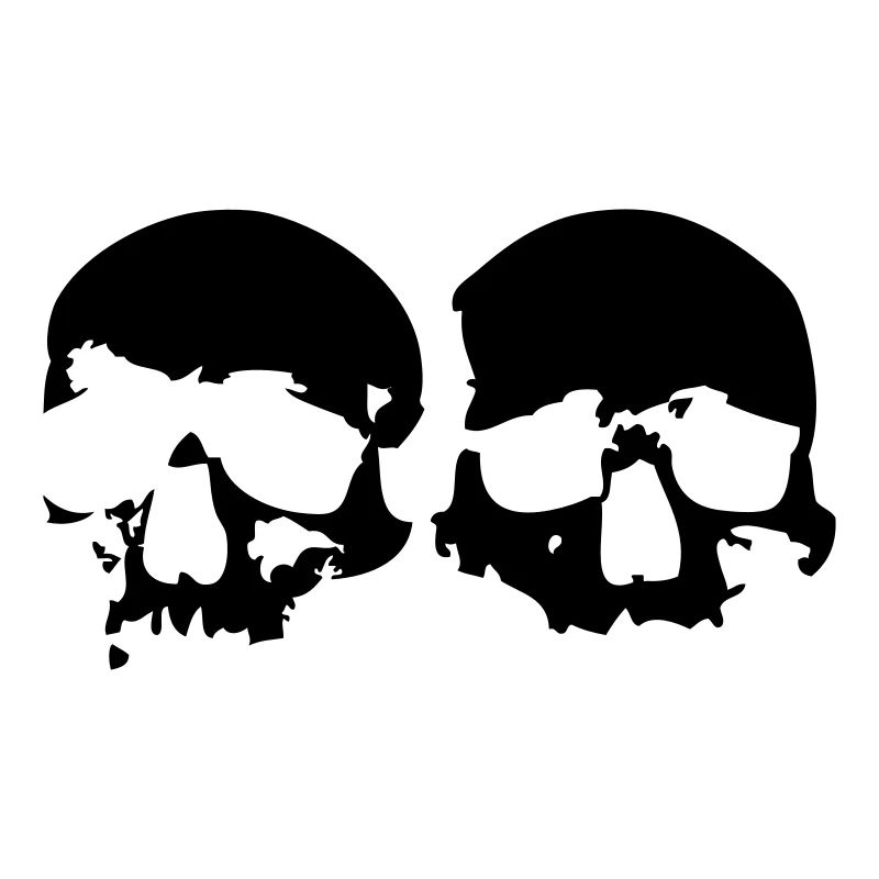 2 Skulls