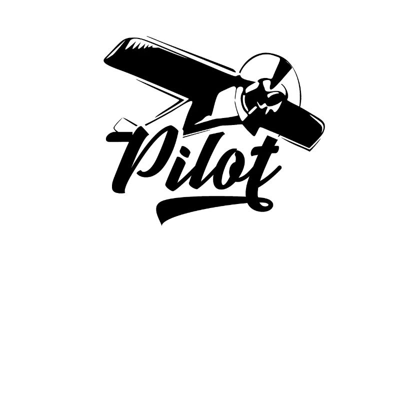 Flying aviator pilot pilot airplane pilot