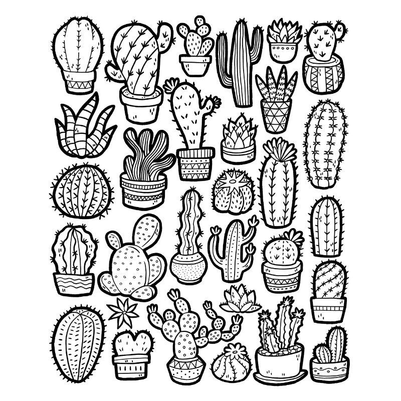 Cactus Doodle