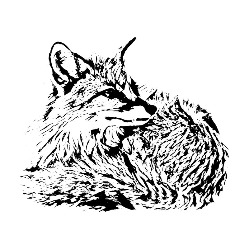 Fuchs