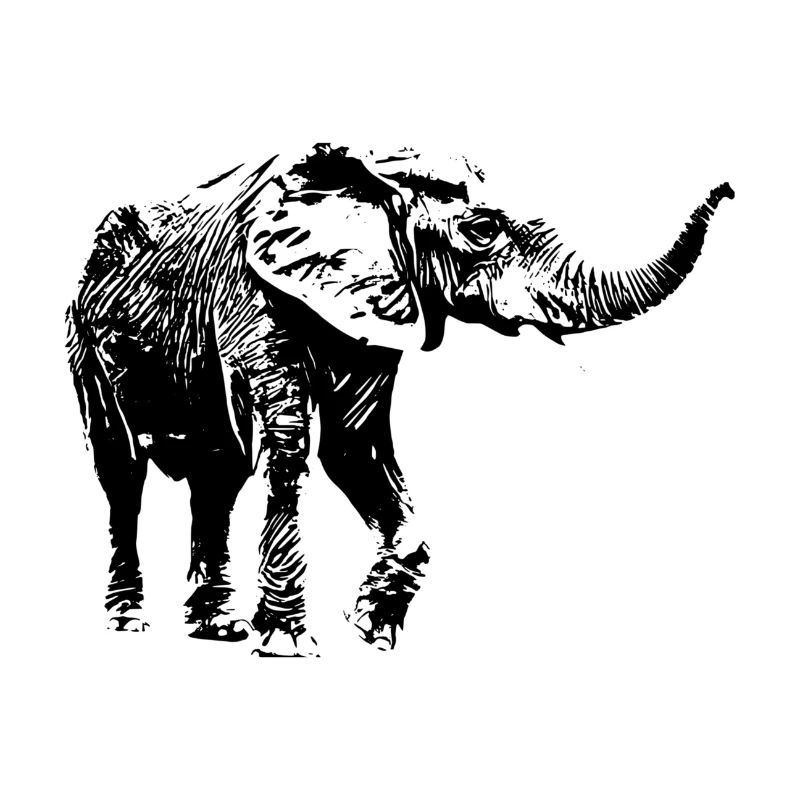 Éléphant