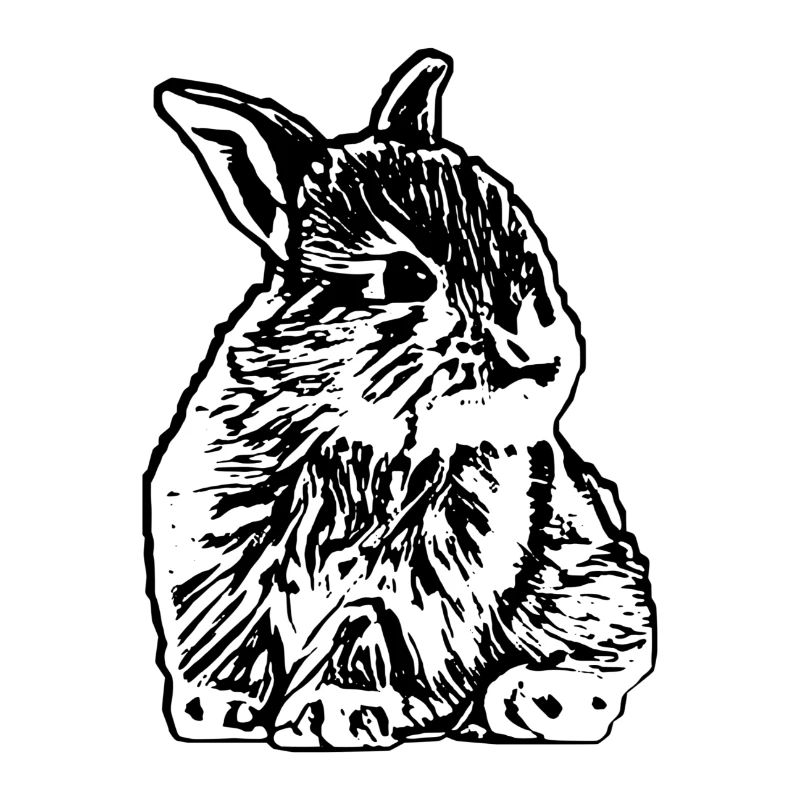 Lapin
