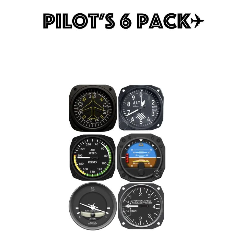 Pack de 6 pilotes.