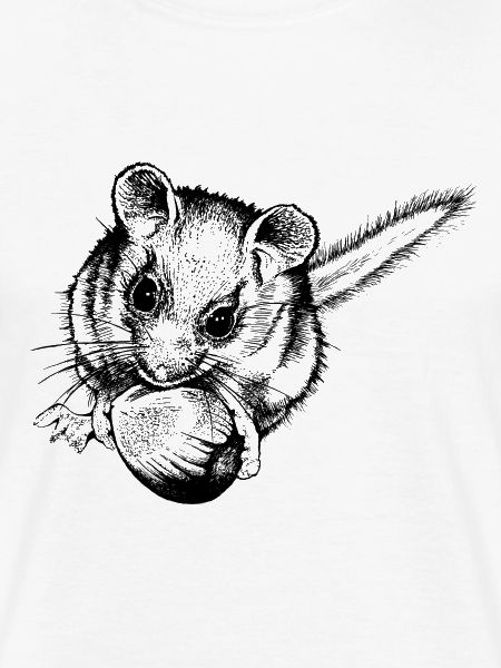 Haselmaus