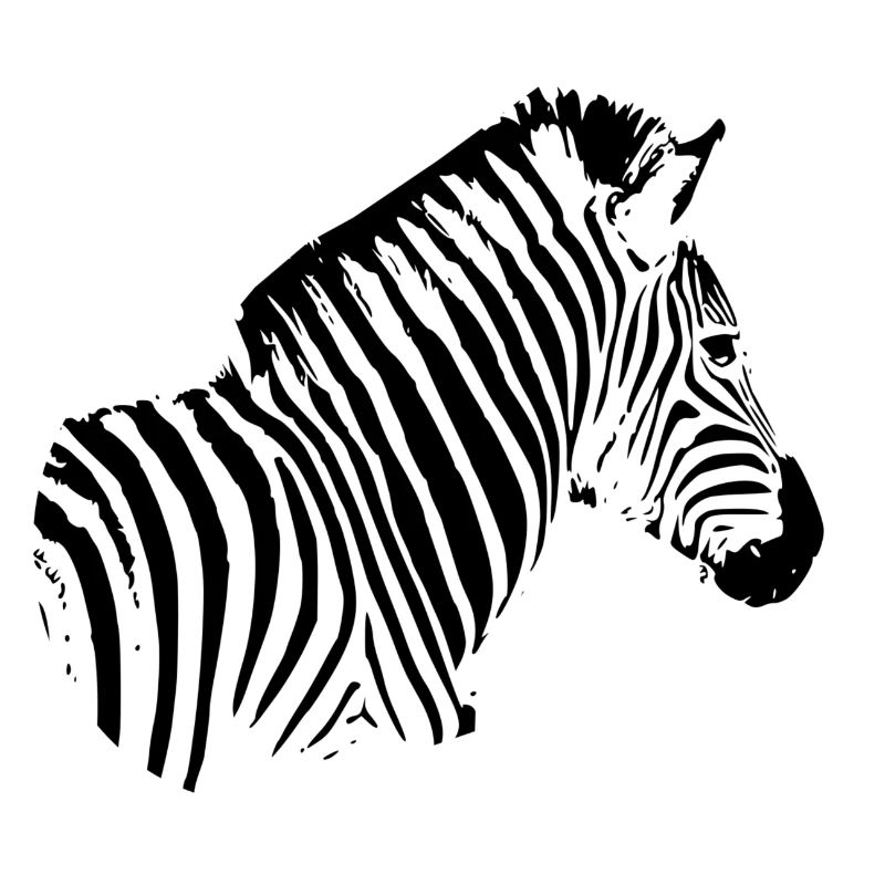 Zebra Sujet schwarz