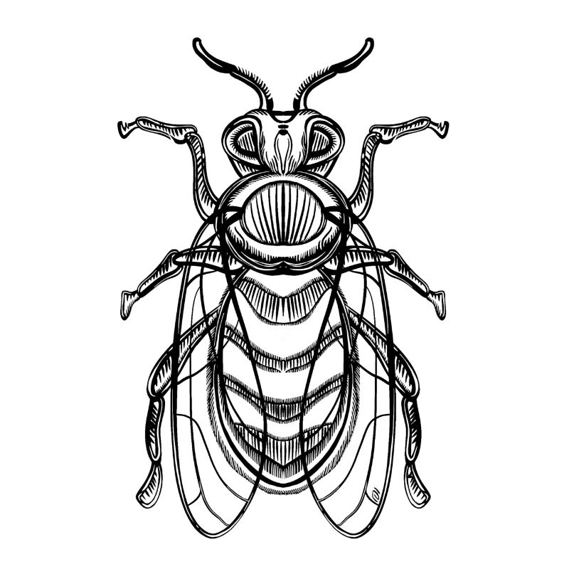 Bee pattern / Beekeeping / beekeeper / honey