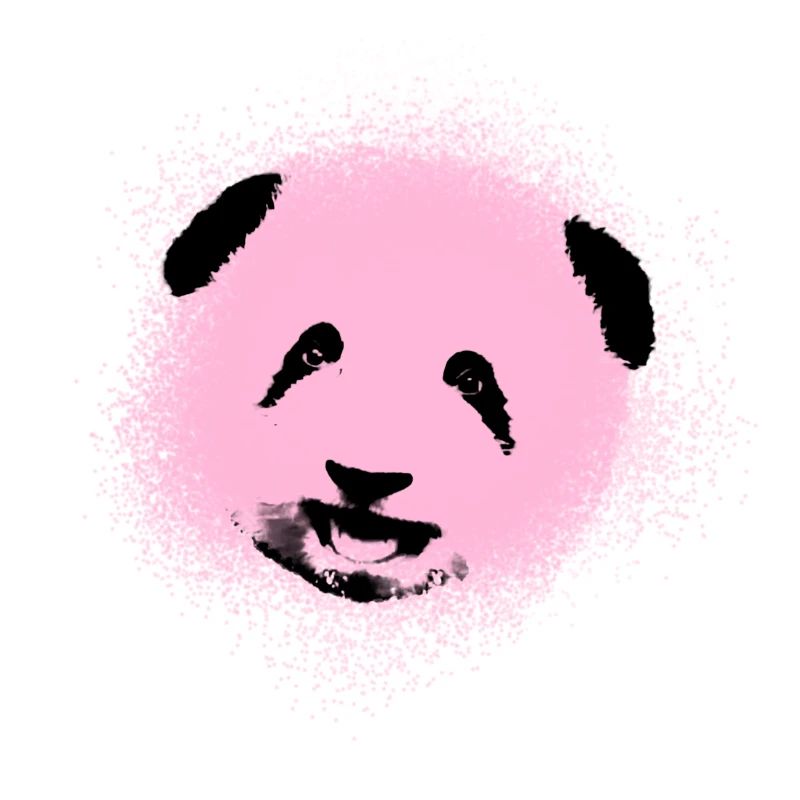 Panda, ours panda, ours, graffiti, rose