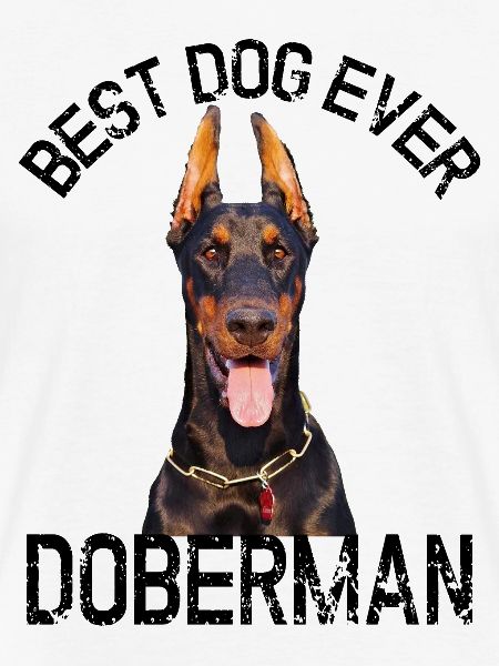 DOBERMANN