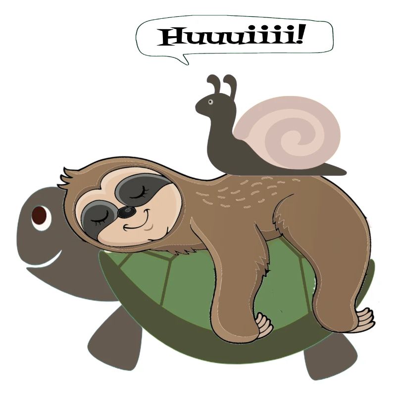 Snail Sloth Turtle