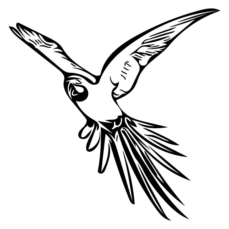 parrot