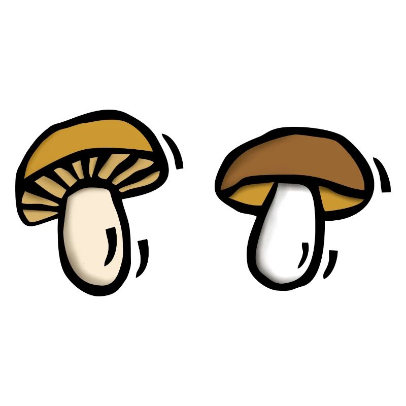 Champignons Champignons Champignons Champignons Champignons Cueillette De Champignons