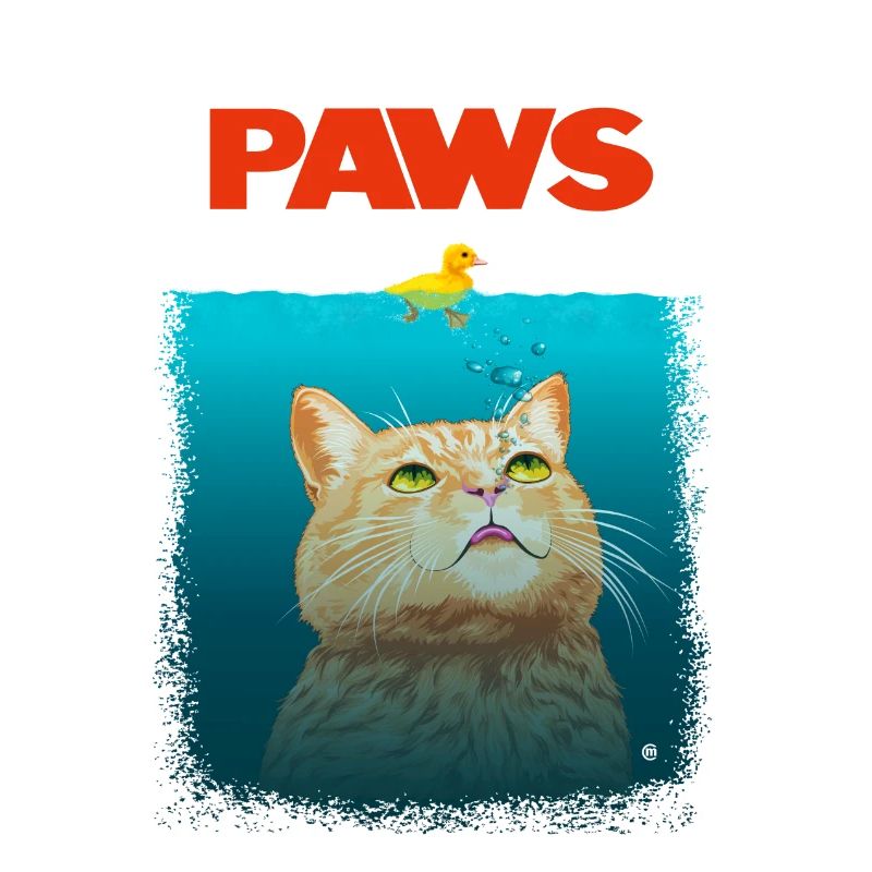 Chat requin