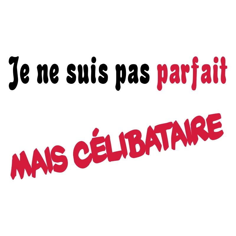 Je ne suis pas parfait mais celibataire