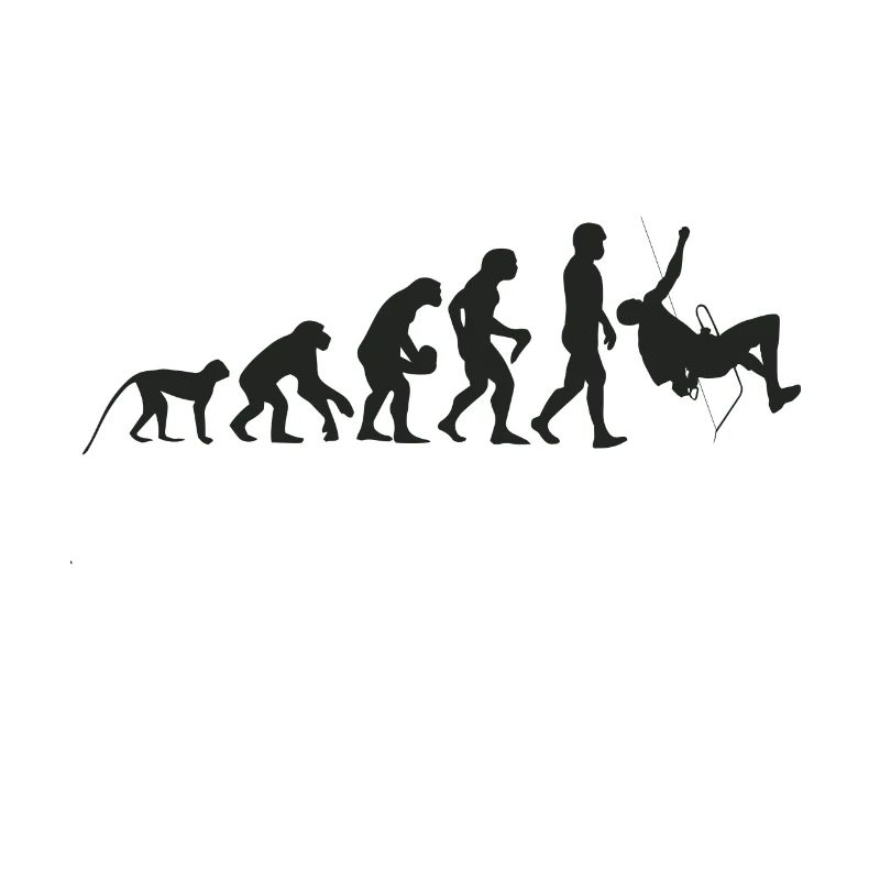 Evolution of climbing