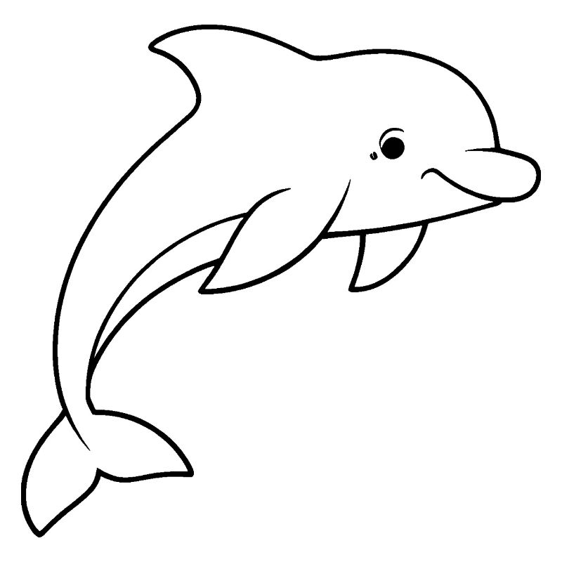 Dauphin minimaliste