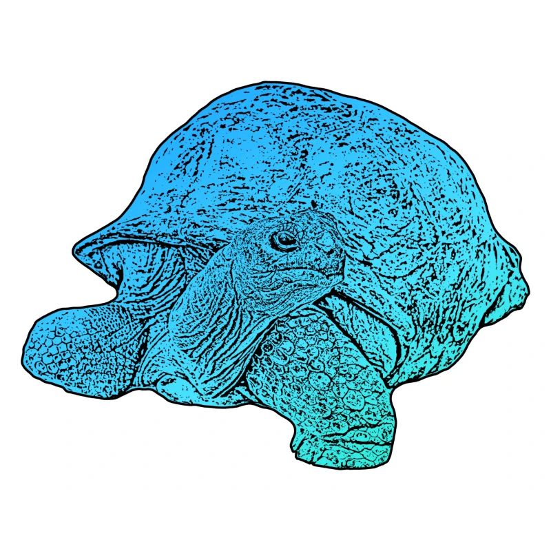 giant tortoise