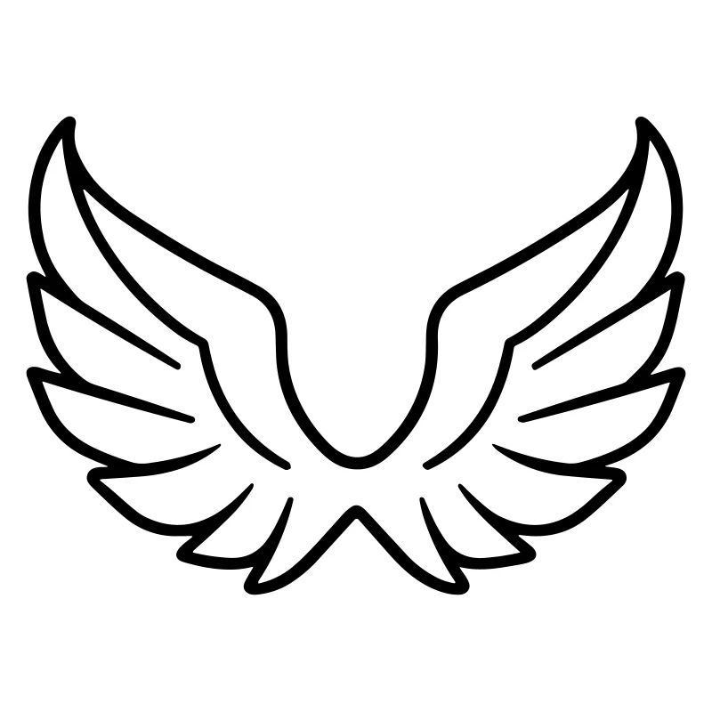 Ailes d'ange