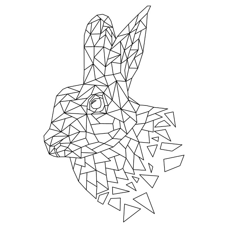 Rabbit geometric