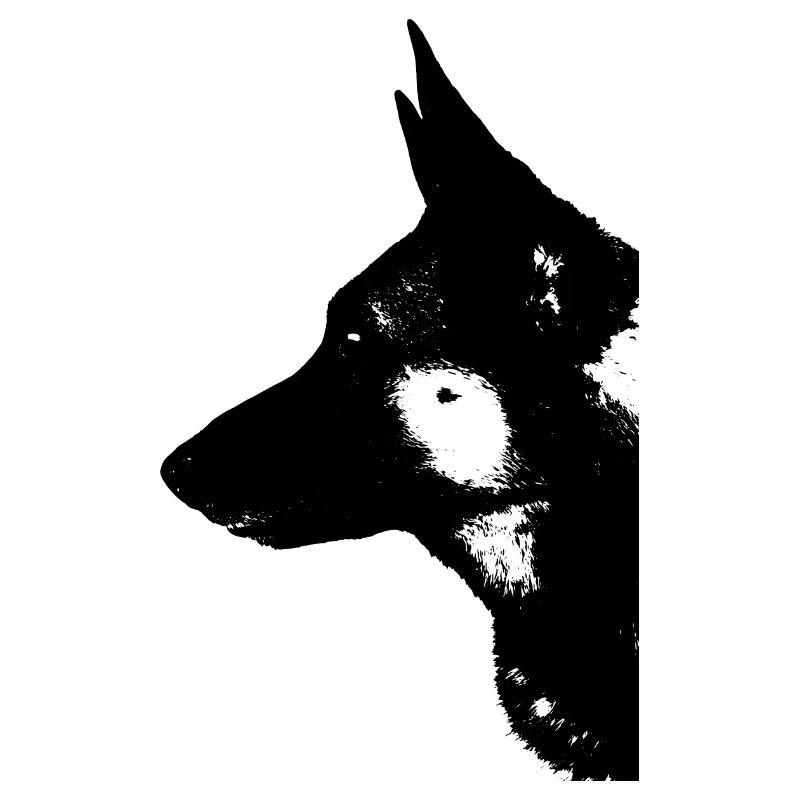 Deutscher Schäferhund - Mein Bester Freund - Tiere