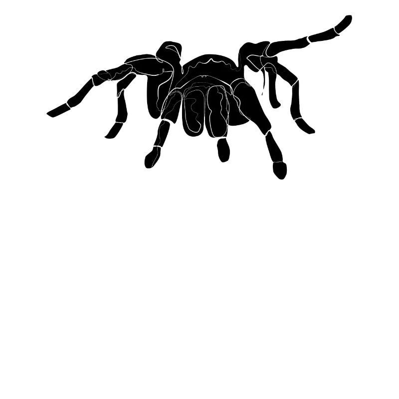 Vogelspinne Spinne