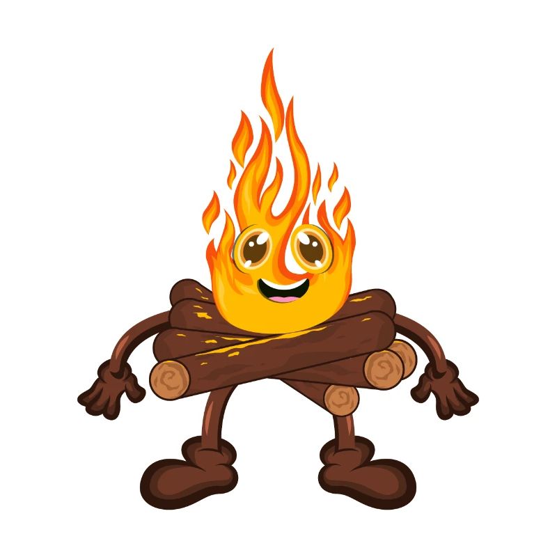 Feu de camp Feu