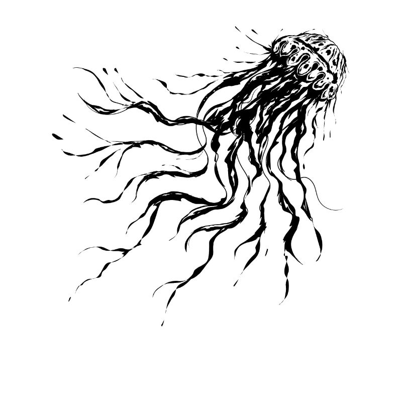 Jellyfish