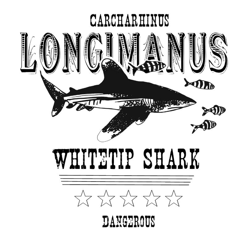Requin à point blanc longimanus