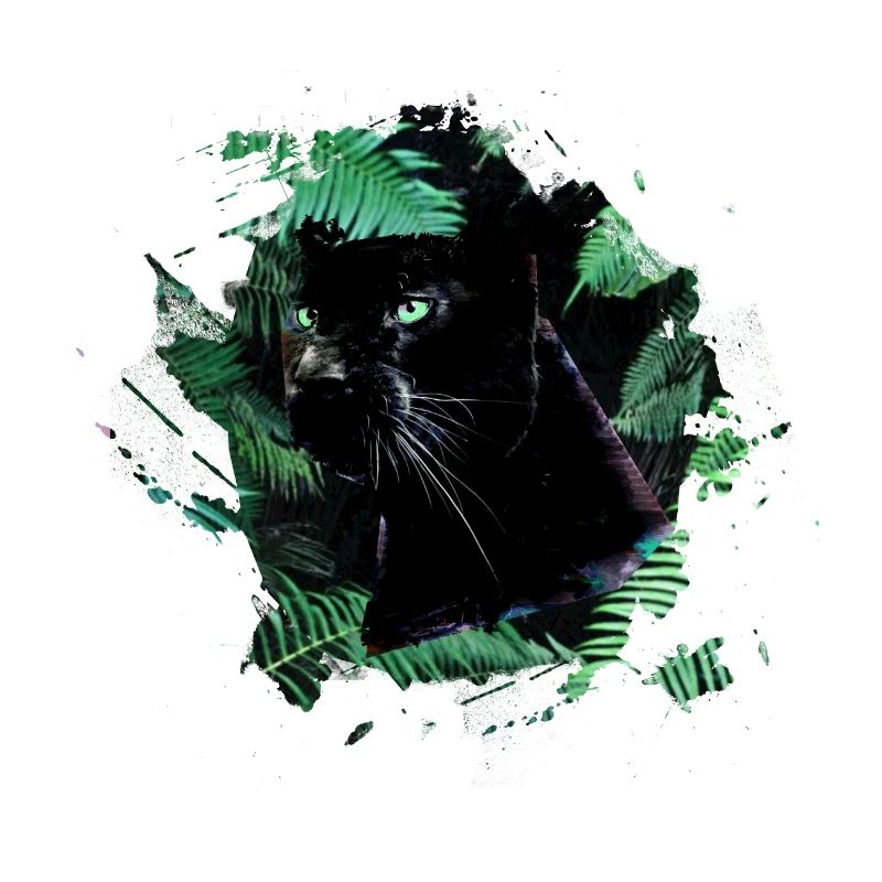 panthère, guépard, léopard, noir, vert, jungle