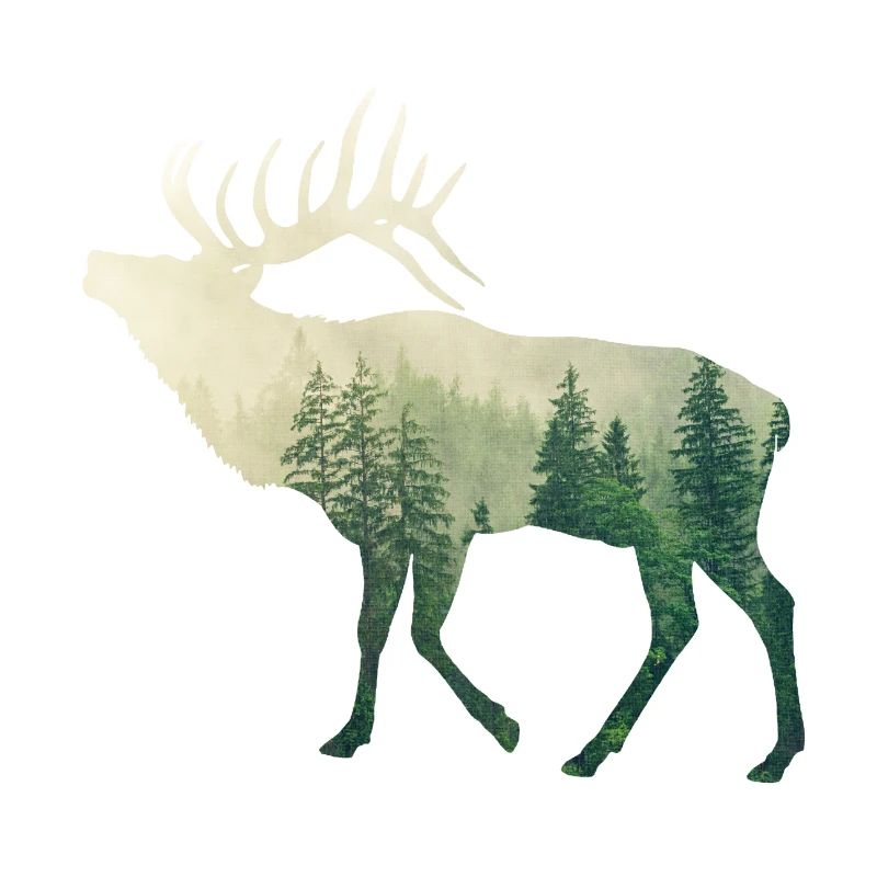 Hirsch