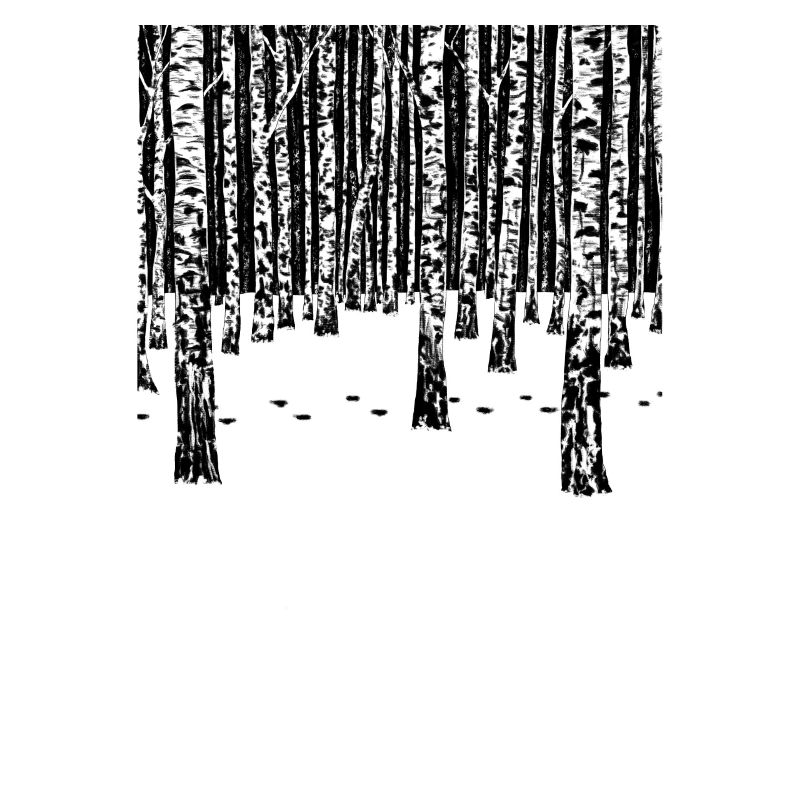 Forêt d’hiver de bouleau - version noire