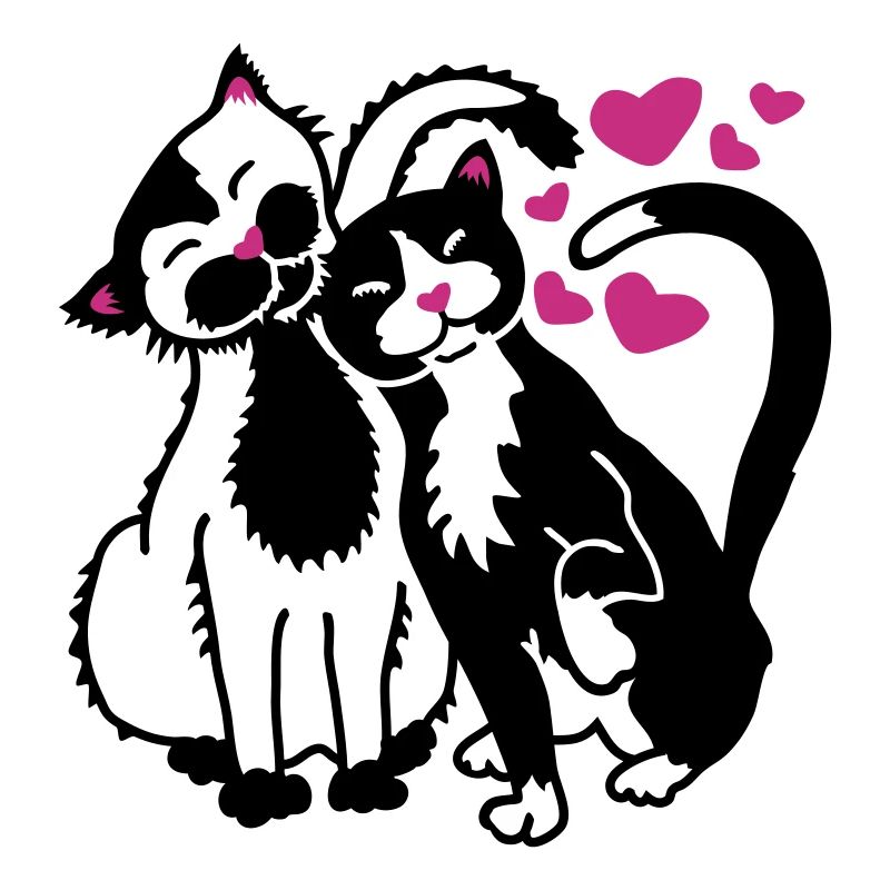 Chats - perrfect Rencontres