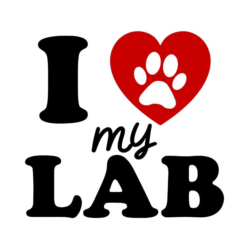 Labrador