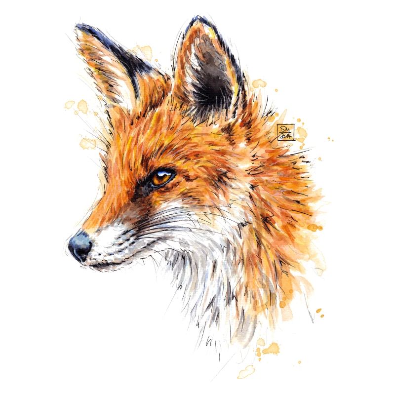 Fuchs | fox
