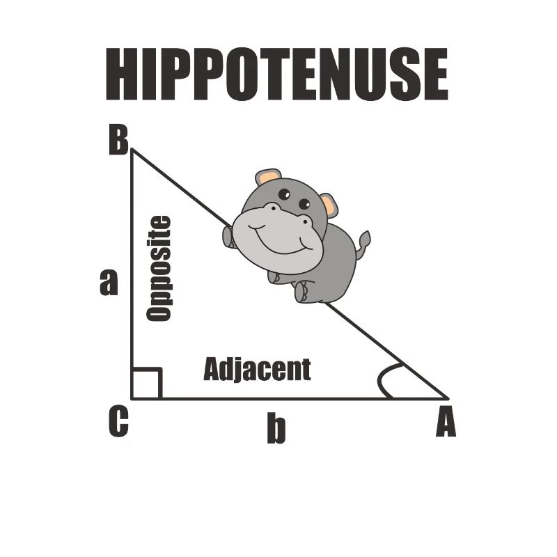 Nerd Geometry Hippotenuse Hypotenuse Math