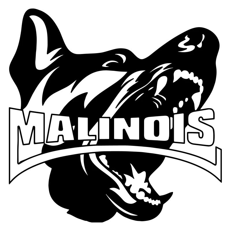 malinois