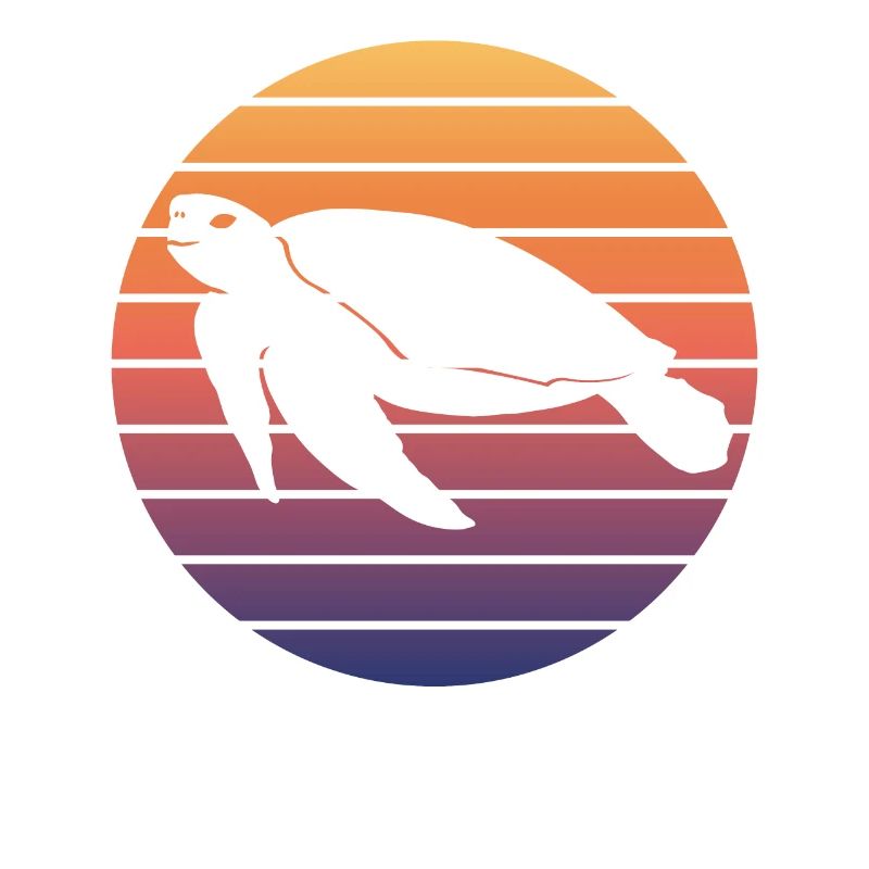 Tortue De Mer Silhouette Coucher De Soleil