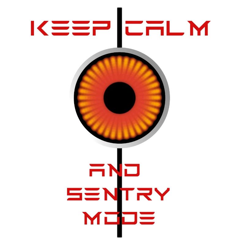 Keep Calm and Sentrymode Tesla